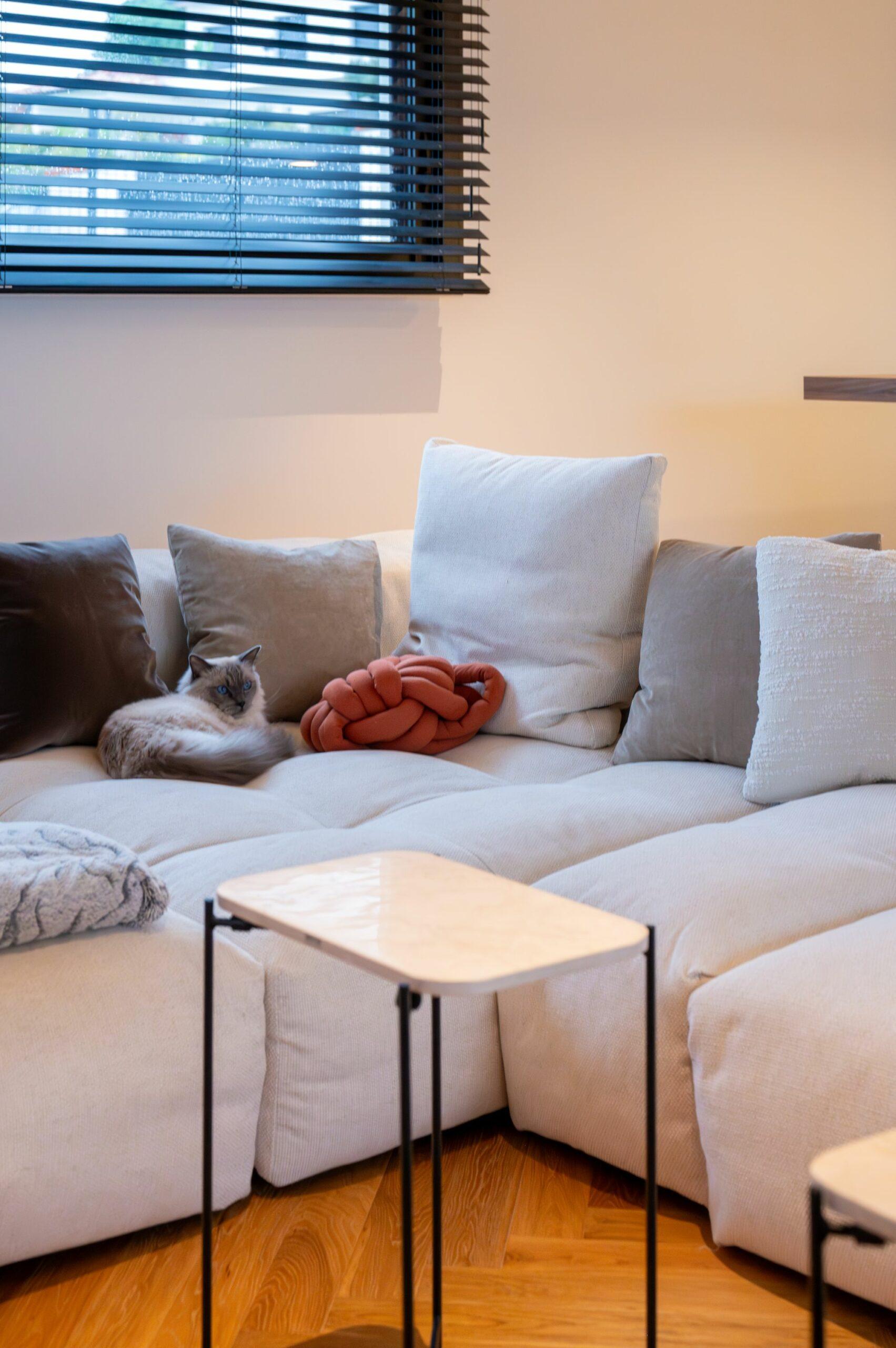 Melinda-Borderie-Architecte-d'Interieur-Rouffiac-Toulouse77